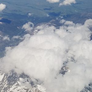 Meet your Posher, Donald